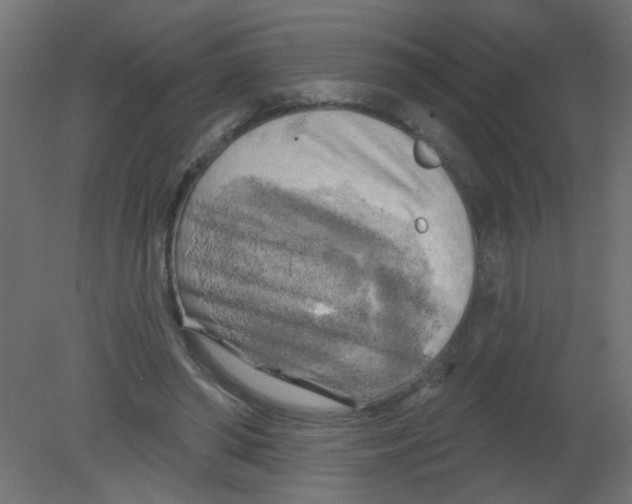 X0000080740398200701121942