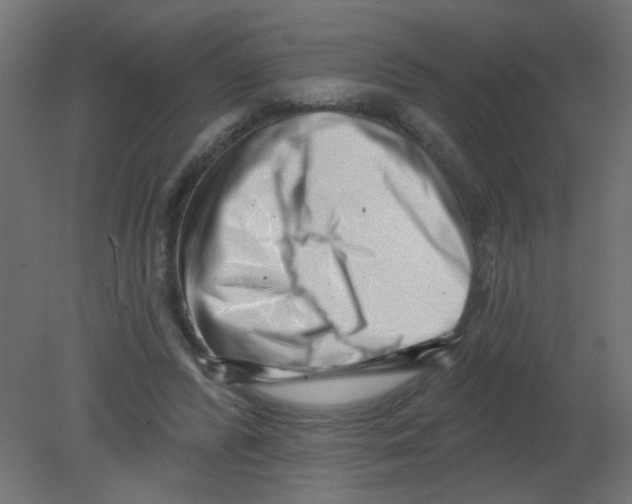 X0000080740400200701121942