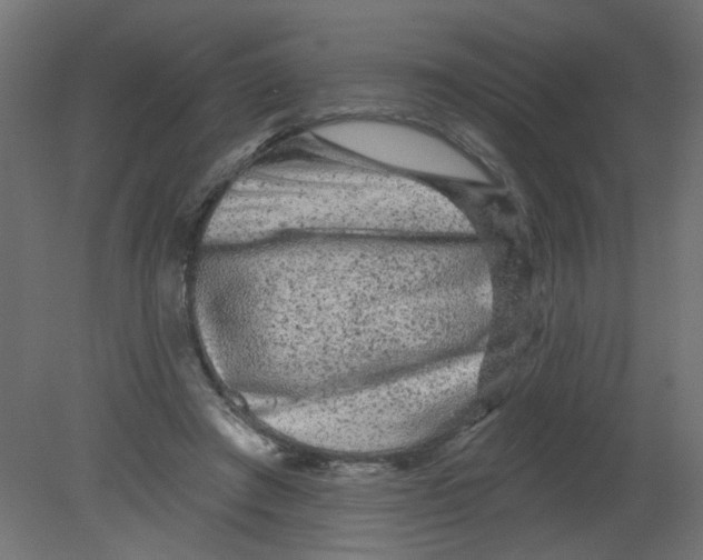 X0000080740401200701121942