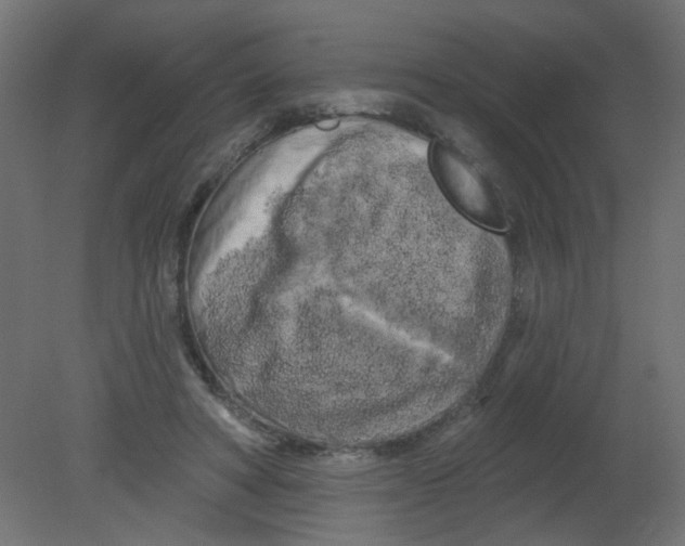 X0000080740402200701121942