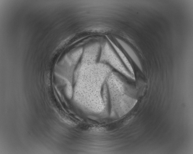 X0000080740403200701121942