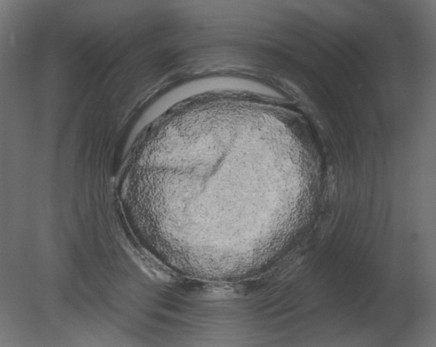 X0000080740405200701121942