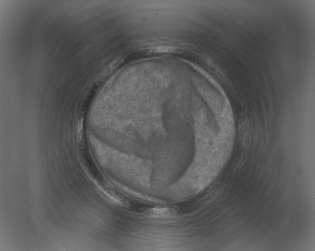 X0000080740406200701121942