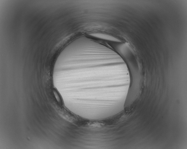 X0000080740407200701121942