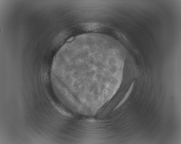 X0000080740408200701121942