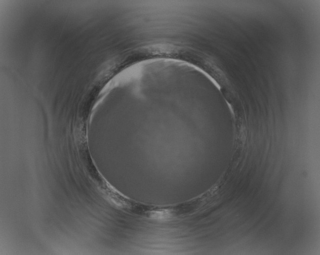 X0000080740411200701121942