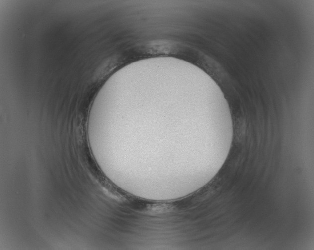 X0000080740414200701121942