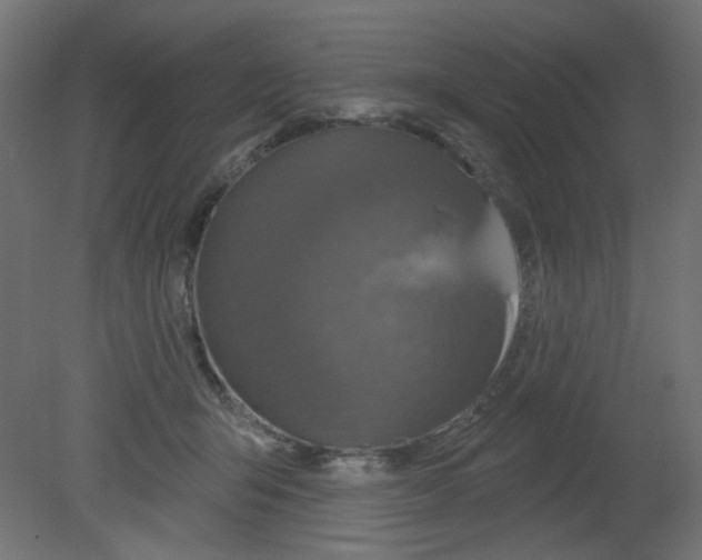 X0000080740415200701121942