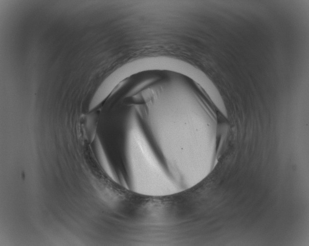 X0000080740416200701121942