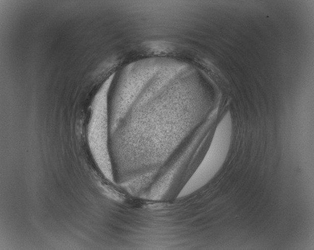 X0000080740417200701121942