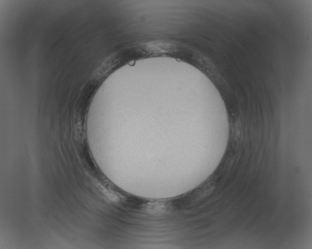 X0000080740418200701121942