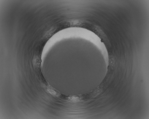 X0000080740419200701121942