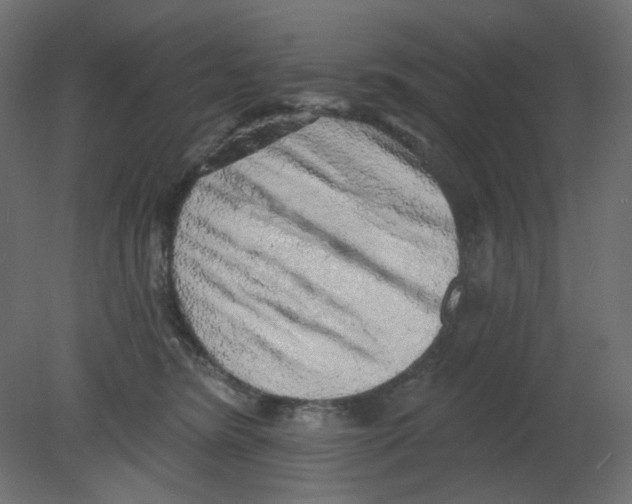 X0000080740420200701121942