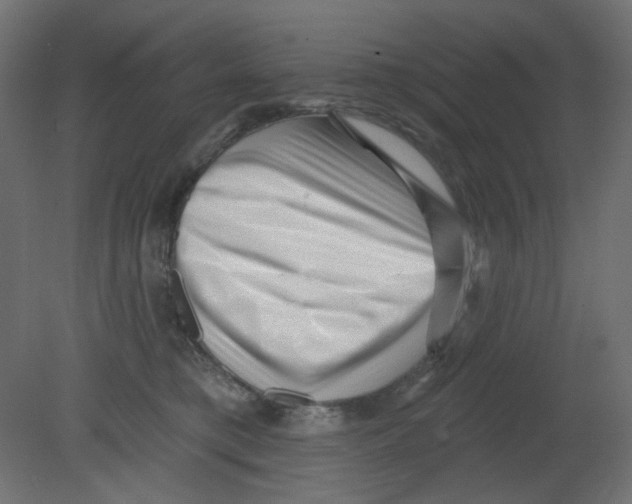 X0000080740421200701121942