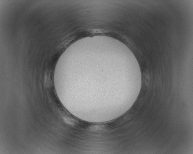 X0000080740422200701121942