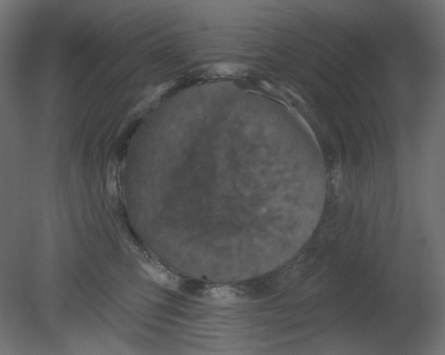 X0000080740423200701121942