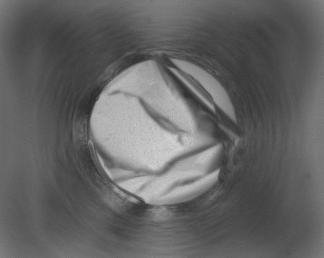 X0000080740425200701121942