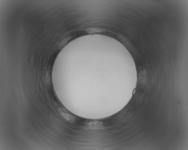 X0000080740426200701121942