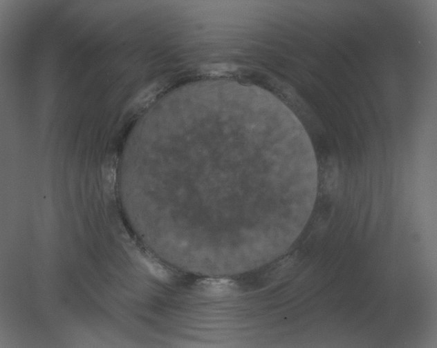 X0000080740427200701121941