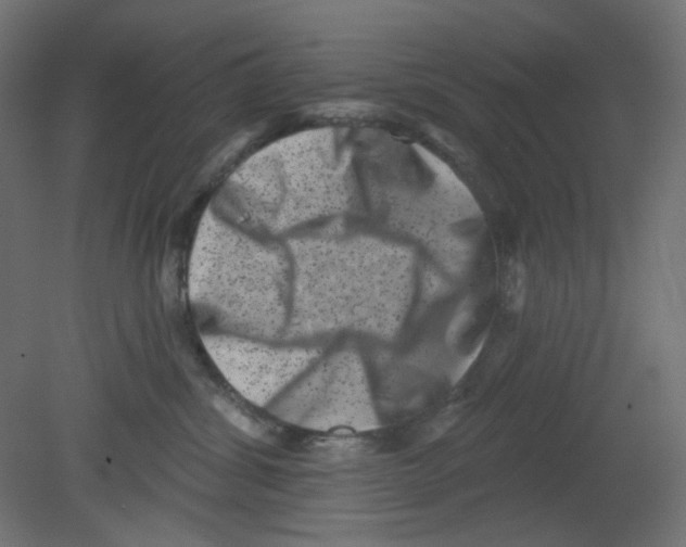 X0000080740428200701121941