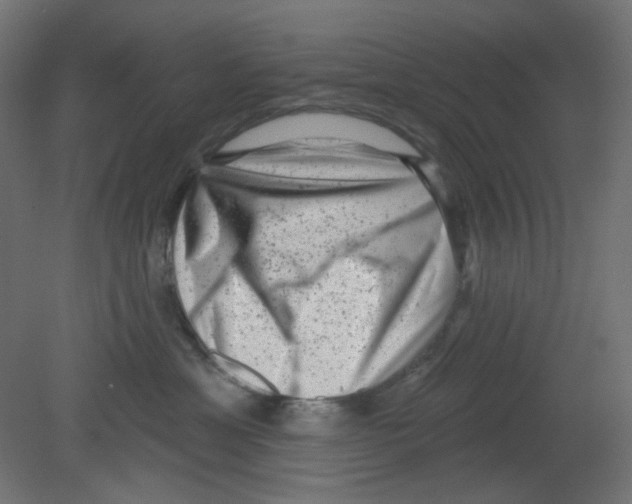 X0000080740429200701121941