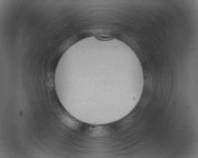 X0000080740430200701121941