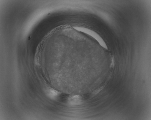 X0000080740431200701121941