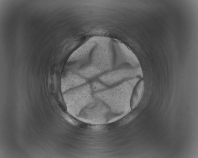 X0000080740432200701121941