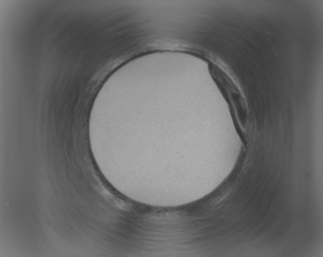 X0000080740433200701121941