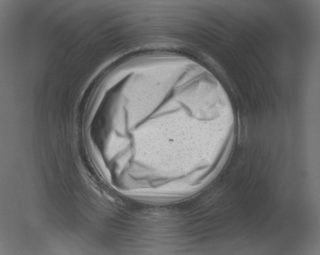 X0000080740435200701121941