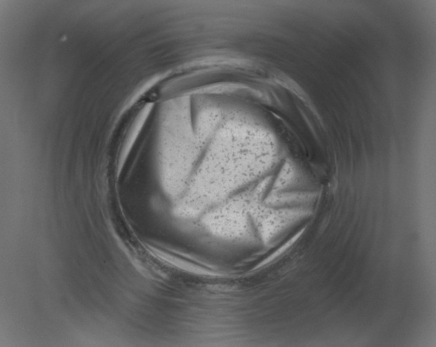 X0000080740436200701121941