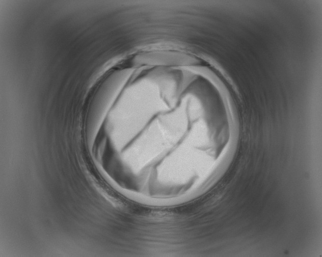 X0000080740437200701121941