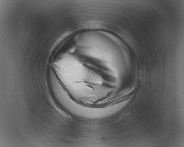 X0000080740438200701121941