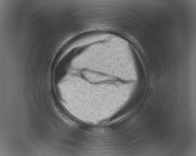 X0000080740439200701121941