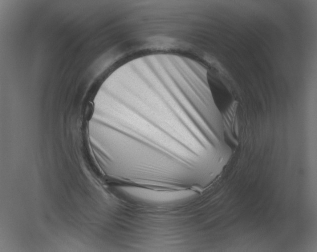 X0000080740440200701121941