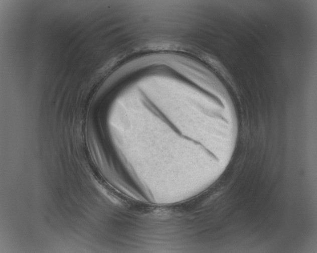 X0000080740441200701121941