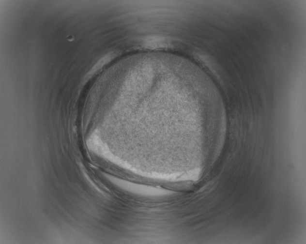 X0000080740443200701121941