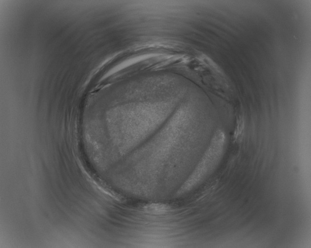 X0000080740444200701121941