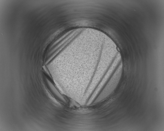 X0000080740445200701121941