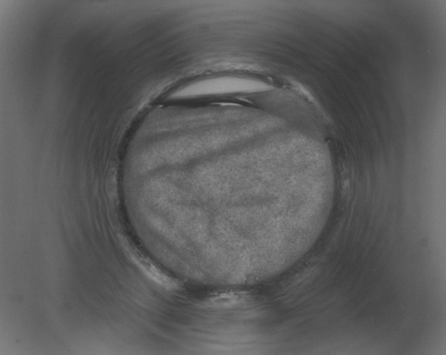 X0000080740447200701121941