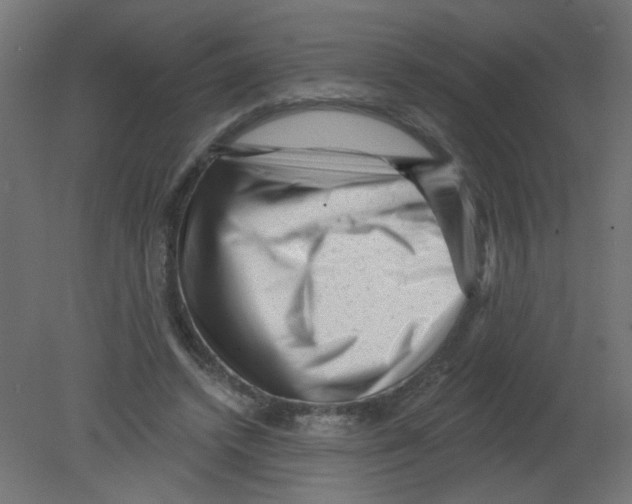 X0000080740448200701121941