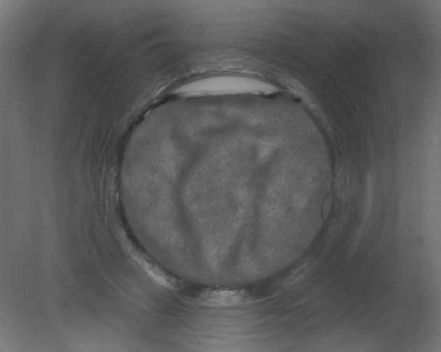 X0000080740449200701121941