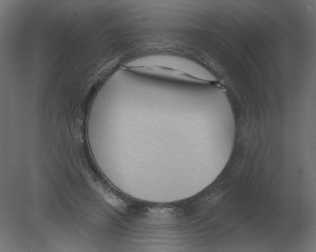 X0000080740450200701121941