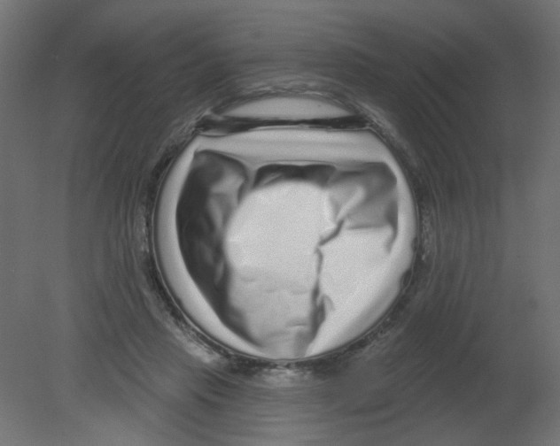 X0000080740453200701121941