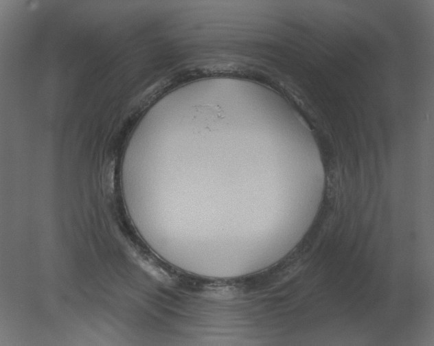 X0000080740454200701121941