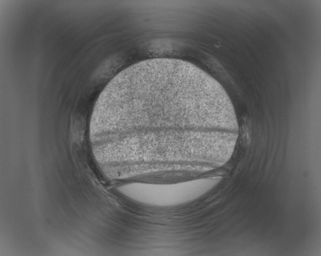 X0000080740458200701121941