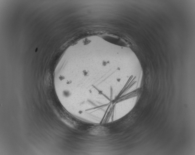 X0000080740459200701121941