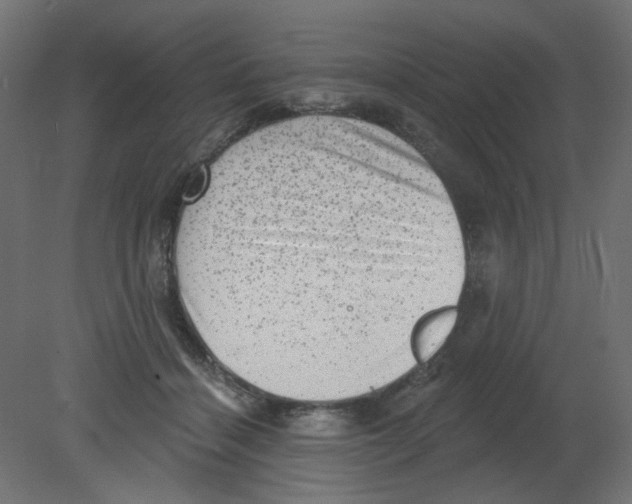 X0000080740460200701121941