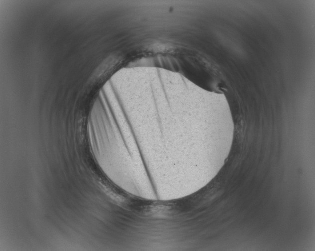 X0000080740462200701121941