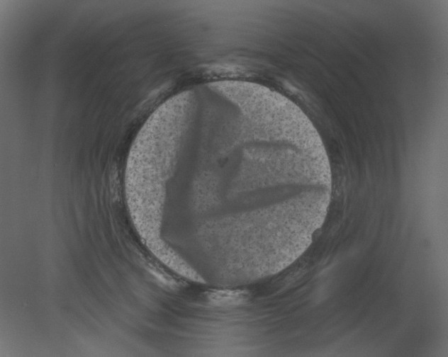 X0000080740465200701121941